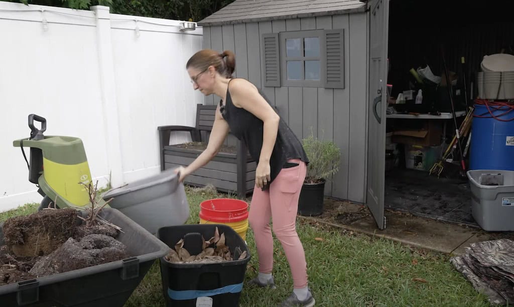 Shed Organization